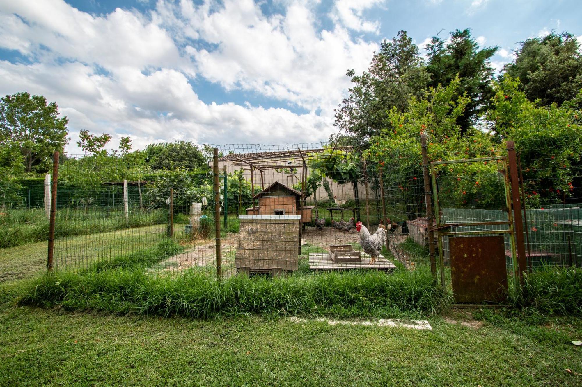 Agriturismo Monte Scala Taglio Di Po Exterior photo